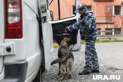 В Новом Уренгое отправился в колонию наркоман 