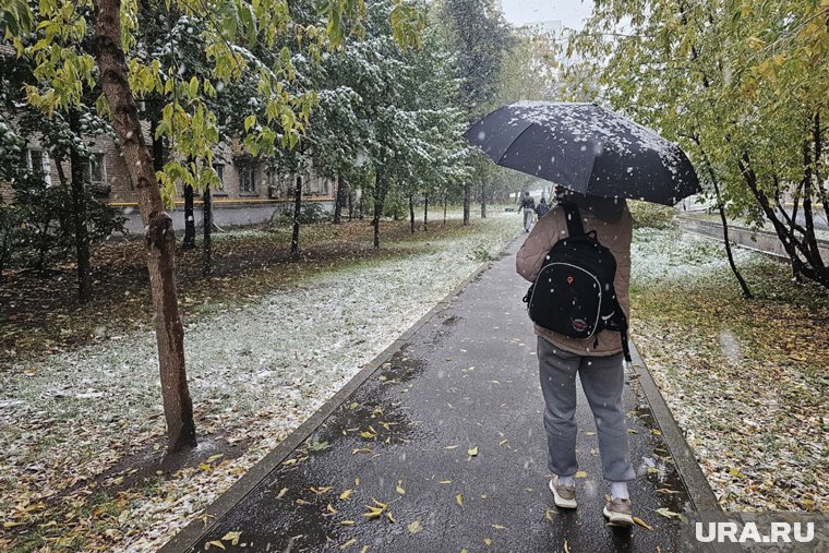 На майские праздники в Москве может выпасть мокрый снег 