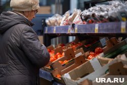 Снизятся цены на морковь, капусту, свеклу, картофель, томаты
