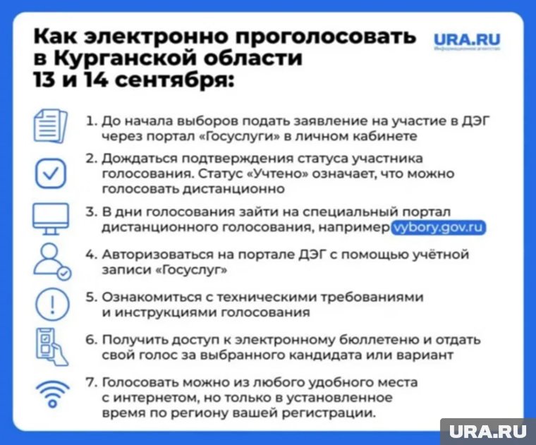 Курганцы смогут голосовать за будущих депутатов дистанционно