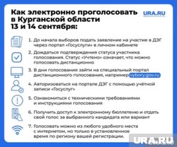 Курганцы смогут голосовать за будущих депутатов дистанционно