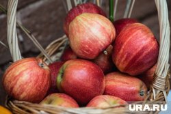 На мастер-классе можно будет создать венок из бумажных яблок 