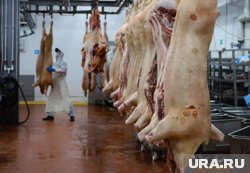 В компании смогли нарастить выручку и сократить убыток (архивное фото)