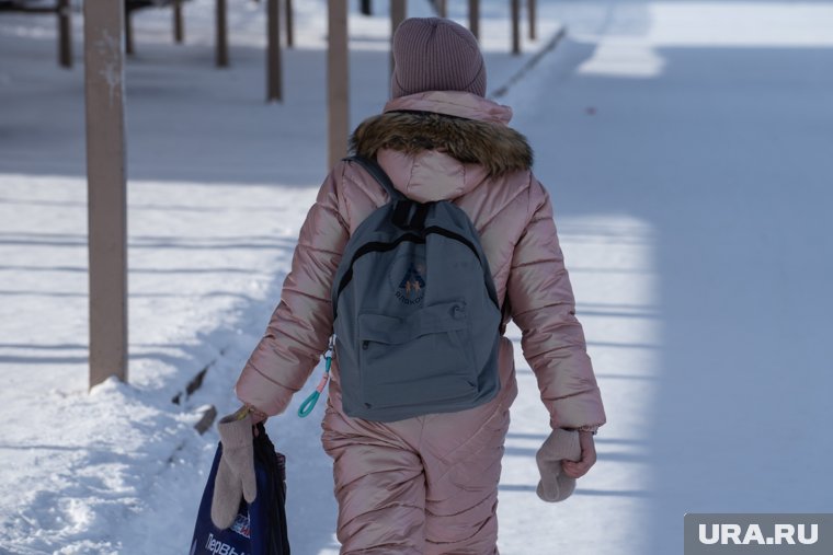 13-летнюю девочку похитили в тюменском селе и увезли в Саратовскую область