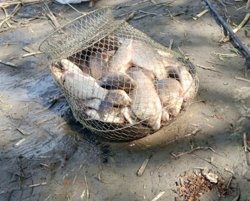 Удачный улов на Тоболе