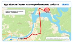 В Бобках можно встретить диких животных