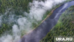 За первые шесть месяцев 2025 года общее количество туристических поездок достигло 765 тысяч