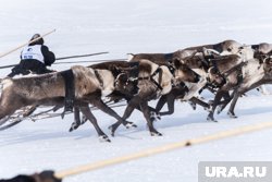 Празднование пройдет на городском пляже на берегу реки Седэяха