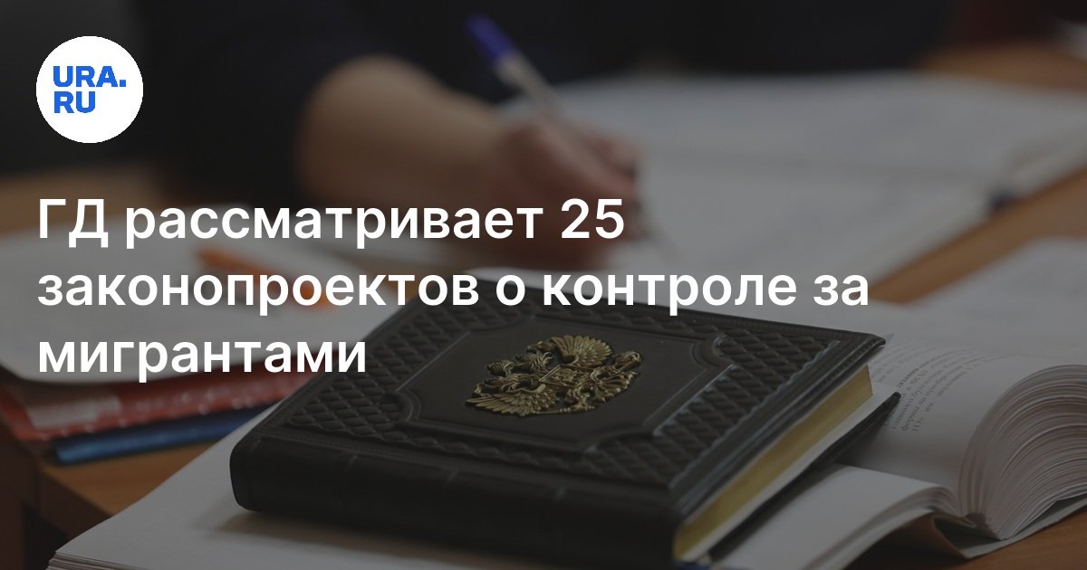 ГД рассматривает 25 законопроектов о контроле за мигрантами