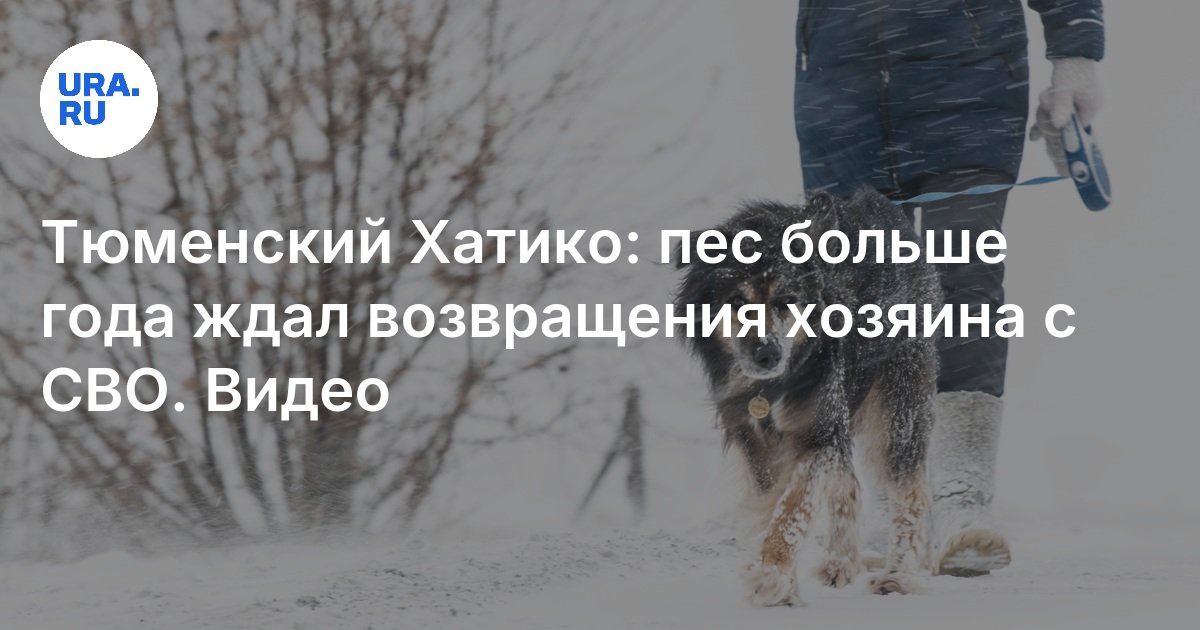 Возвращение хозяина
