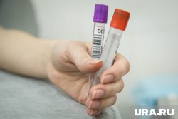 Дарья Шеина стала донором костного мозга