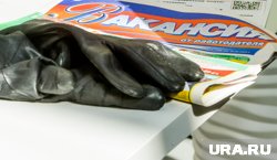 Жители ХМАО могут заработать в других регионах до 500 тысяч рублей в месяц