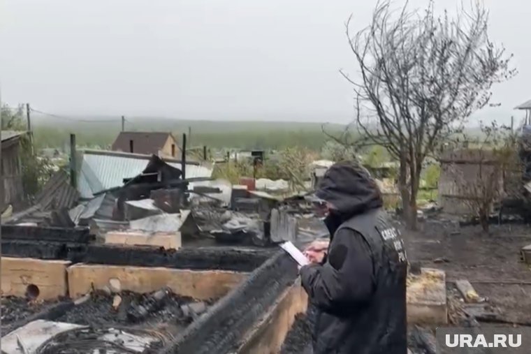 Возбуждено два головных дела