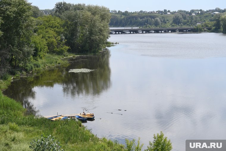 Известно, что тело принадлежит мужчине