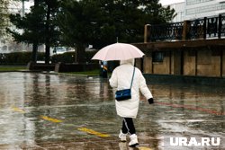 Горожанам стоит подготовить зонты
