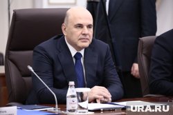 Премьер-министр Михаил Мишустин отчитался перед президентом об итогах работы правительства