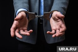 Глава депимущества Сургута Алексей Дворников находится в СИЗО, и ему нашли замену
