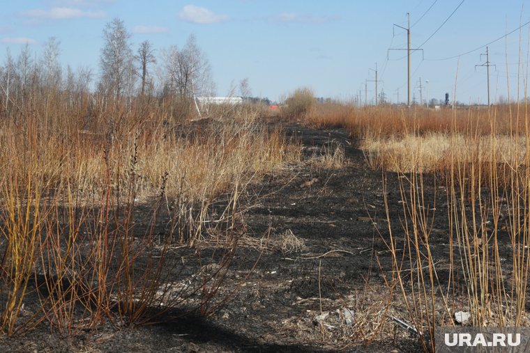 Предприниматель незаконно арендовал земли в курганском округе