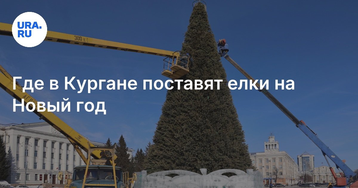 Где и какие новогодние елки установят в Кургане к празднованию 2025 года