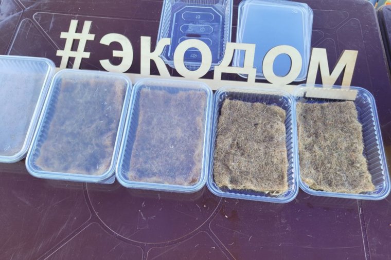 Команда экодома традиционно проводит мастер-классы для участников Майской прогулки