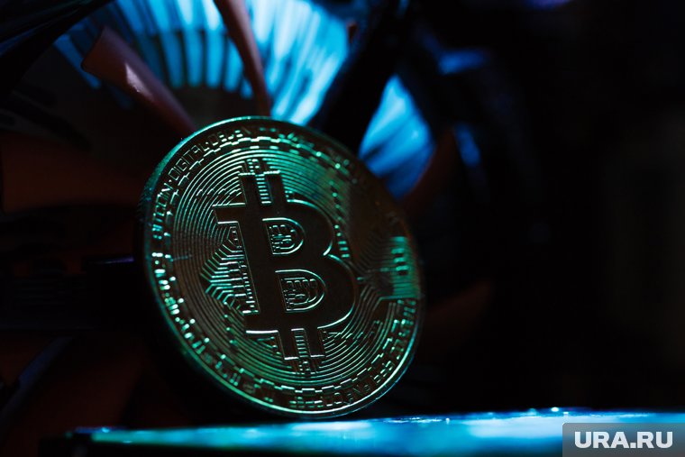 Ямальская нефтяная компания собралась добывать криптовалюту на своих месторождениях