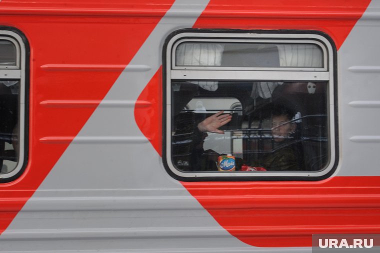 Ведомства и страховые компании запустили горячие линии