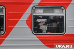 Ведомства и страховые компании запустили горячие линии
