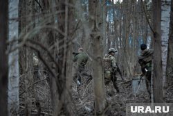 ВС РФ освободили лесополосу у Купянска