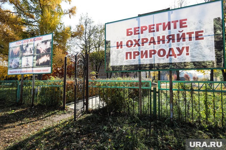 Из-за риска пожаров курганцы больше месяца не могут попасть в лес