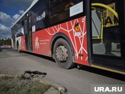 Автобус вылетел с дороги