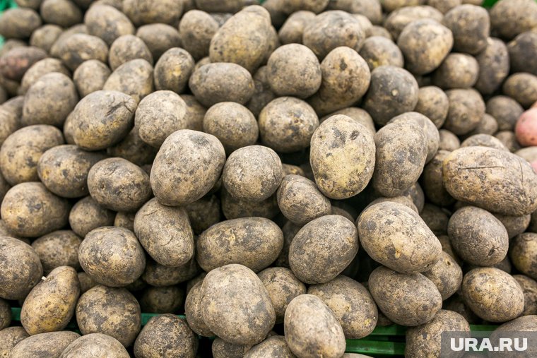 Самым узнаваемым продуктом марки «КРиММ» является картофель