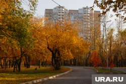 Теплая осень ждет жителей южных регионов России
