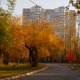 Вот и лето прошло: какой будет осень в разных регионах России