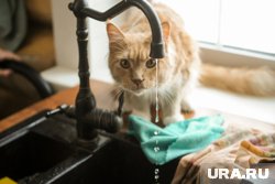 Из-за аварии отключат воду в некоторых домах в Кургане