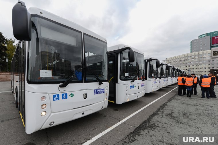 В Сургуте на маршруты выйдут девять новых автобусов