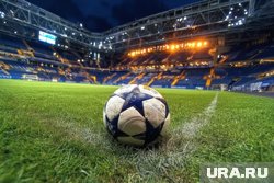 Владелец ФК «Торпедо» арестован