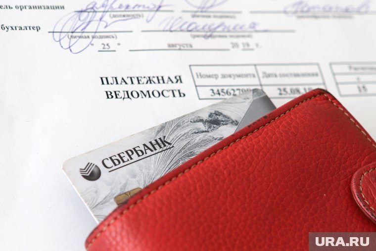 Зарплаты заведующих превышают доход куратора детских садов Сургута 