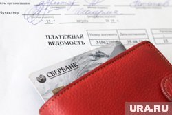 Зарплаты заведующих превышают доход куратора детских садов Сургута 