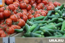 Огурцы подорожали, а помидоры подешевели в Курганской области
