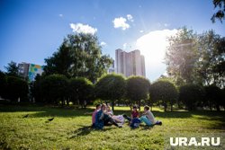 В июне жителей Челябинской области ждет теплая погода с температурой до 21 градуса