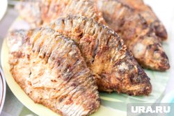 Курганцы примут участие в конкурсе по приготовлению рыбы
