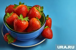 Россия стала основным импортером клубники из Китая