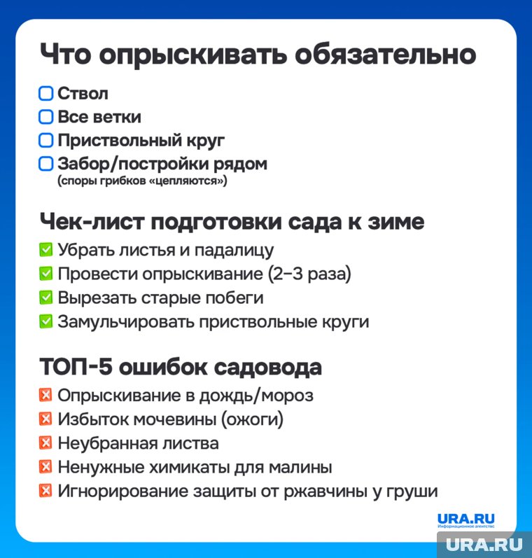 Осеннюю обработку сада проводят ежегодно после листопада и до наступления серьезных морозов