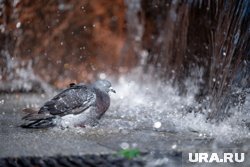 Фонтаны готовят к сезону холодов 