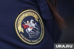 СК признали невменяемой мать, убившую троих детей