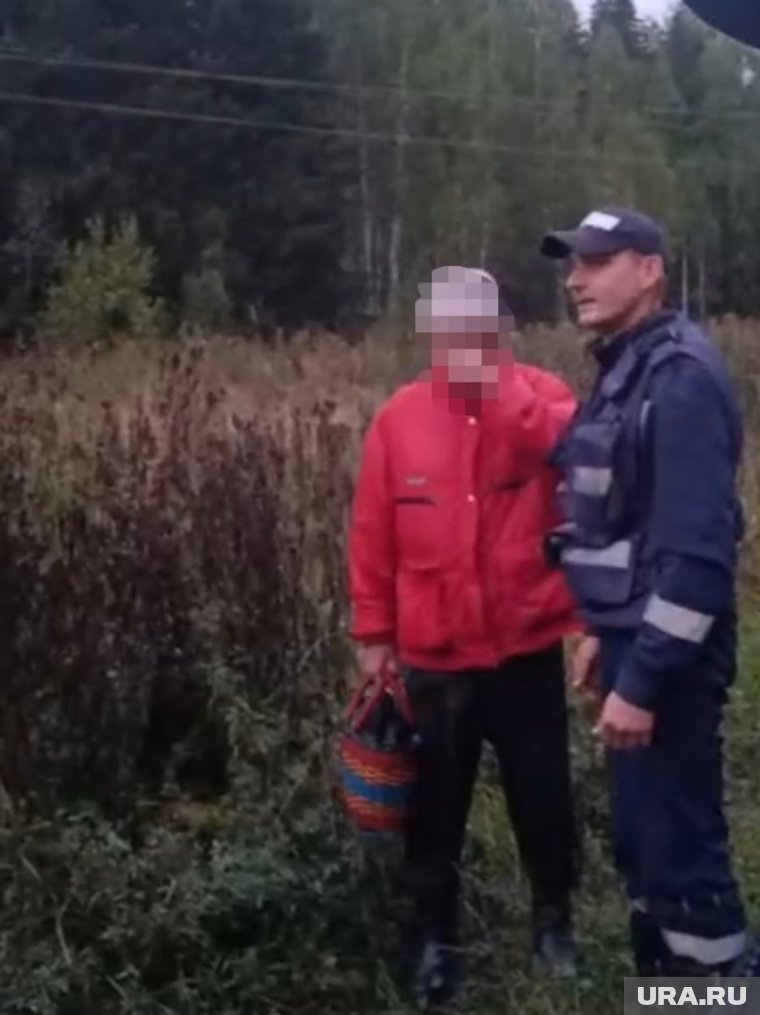 Потерявшегося грибника нашли на следующий день утром