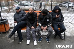 Теперь мигрантам сложно будет найти работу в ЯНАО 