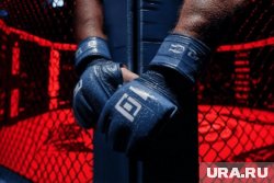 Поединок UFC пройдет в честь 250-летия США