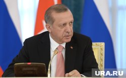 Эрдоган отметил, что Турция является мирным государством