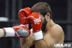 Российские юниоры блеснули на первенстве Европы по боксу